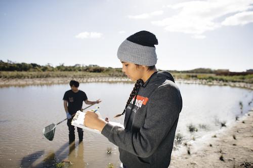 研究ers in a pond taking samples and making notes.